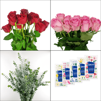 FCMVD09 - Rose Red, Rose Pink & Eucalyptus