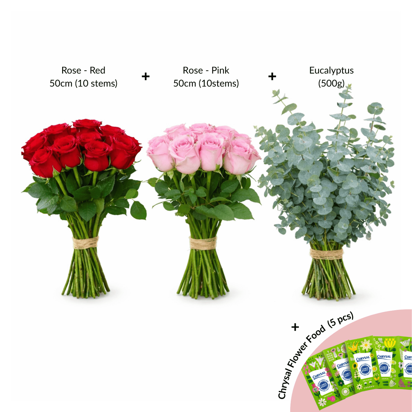 FCMVD09 - Rose Red, Rose Pink & Eucalyptus