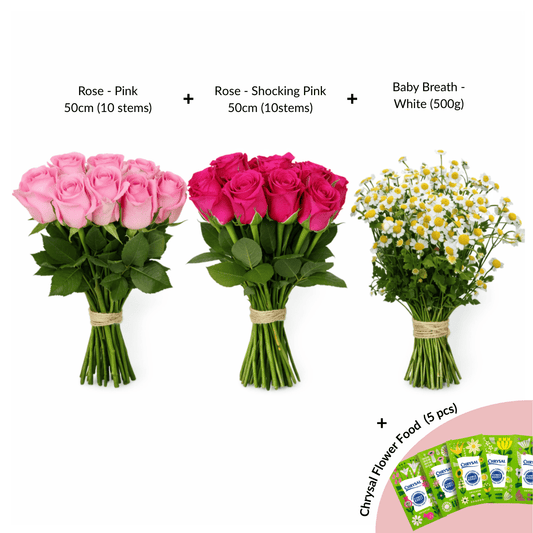 [Pre-Order] FCMVD10 - Rose Pink, Rose Shocking Pink & Chamomile