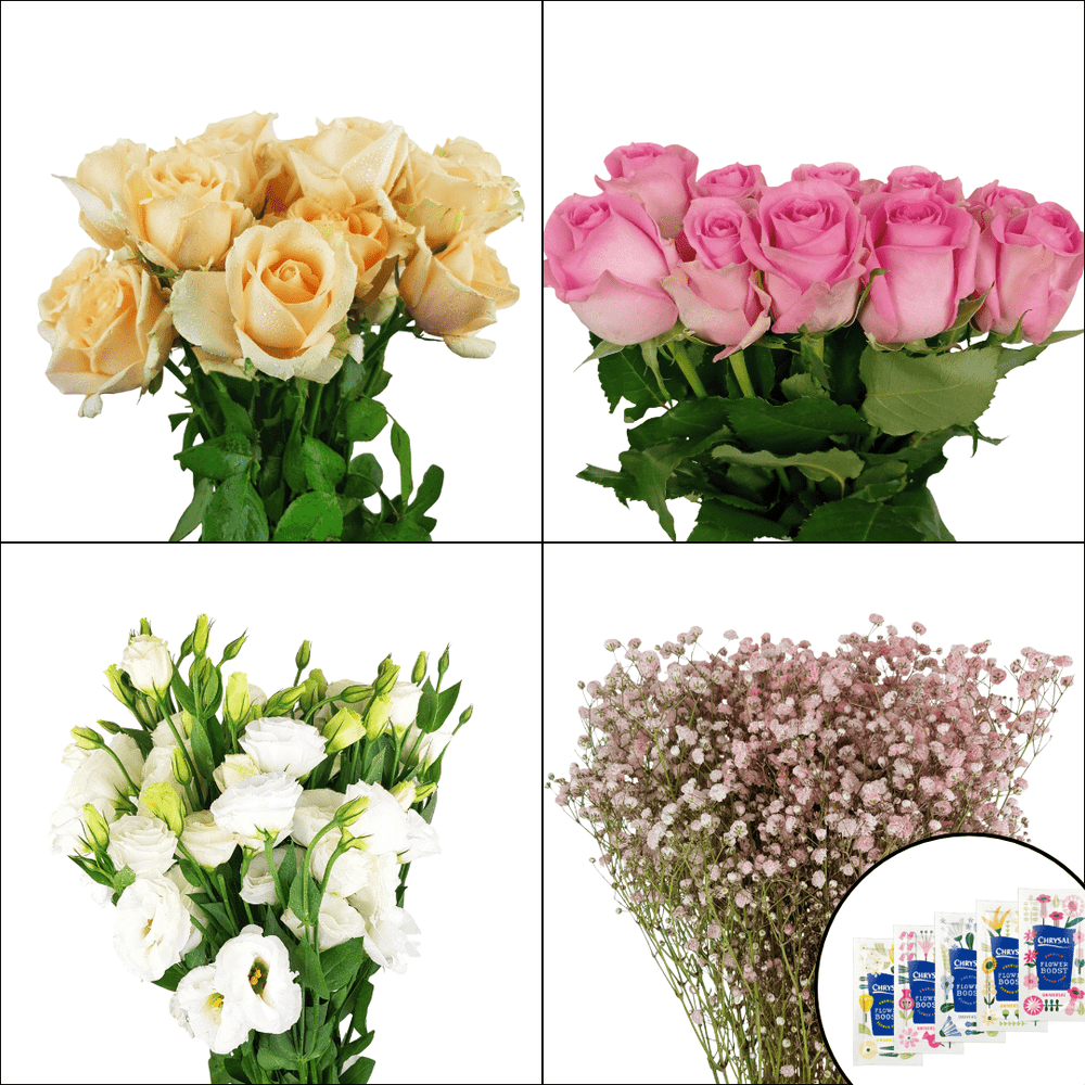 FCMVD11 - Rose Champagne, Rose Pink, Eustoma & Baby's Breath
