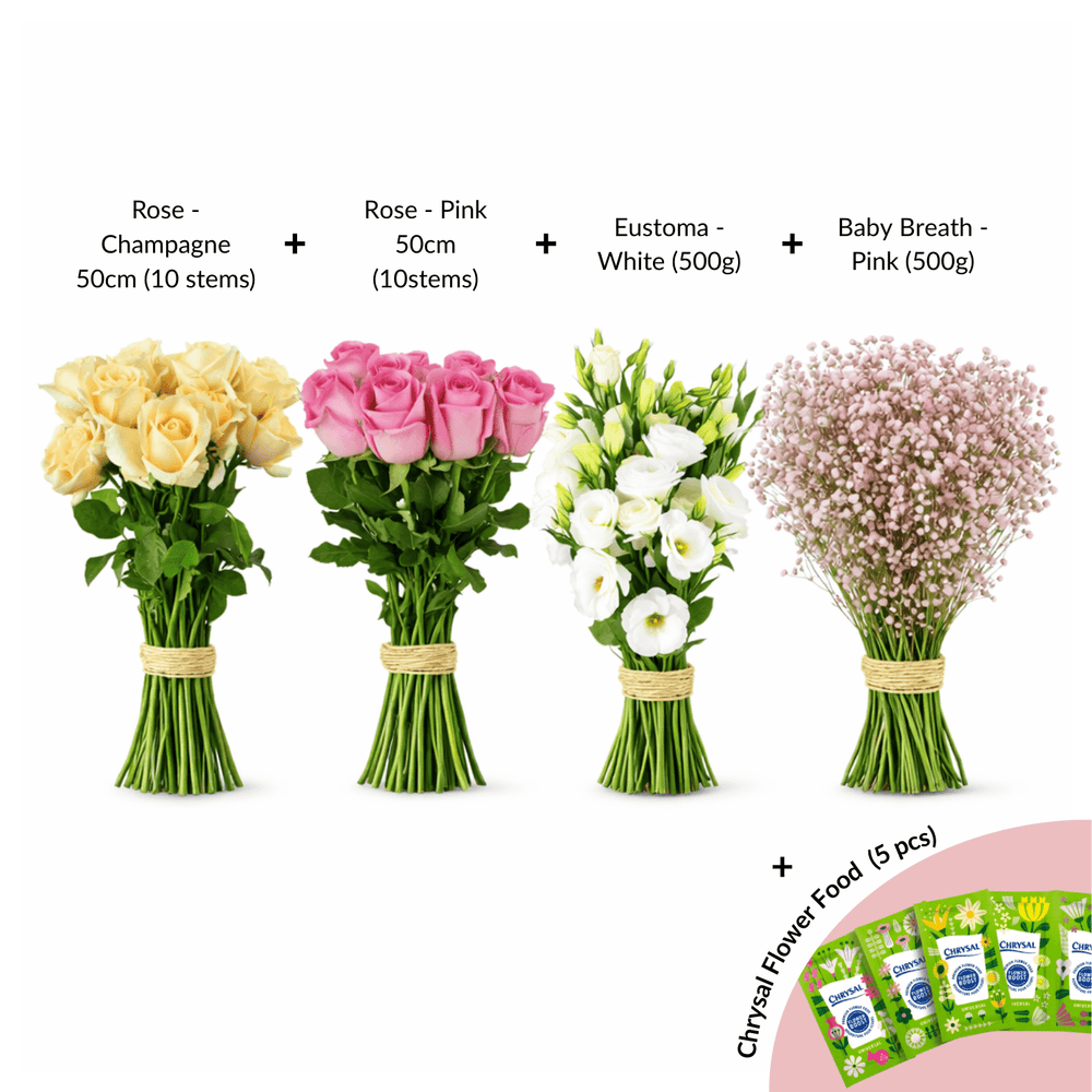 FCMVD11 - Rose Champagne, Rose Pink, Eustoma & Baby's Breath