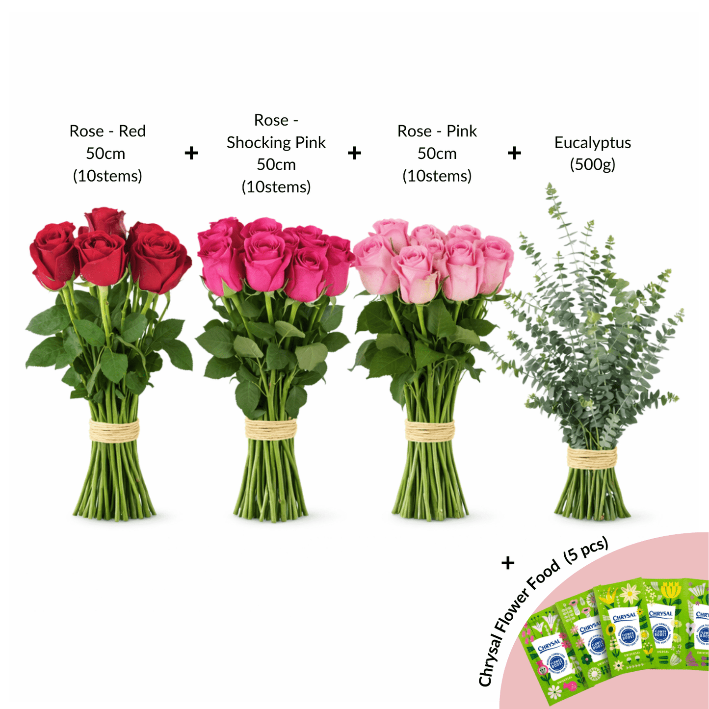 FCMVD13 - Roses & Eucalyptus