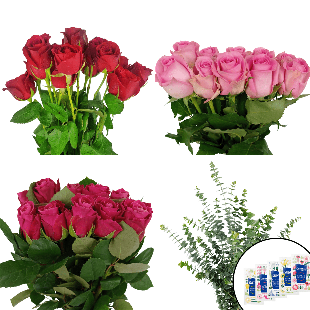 FCMVD13 - Roses & Eucalyptus