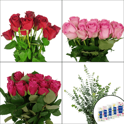 FCMVD13 - Roses & Eucalyptus