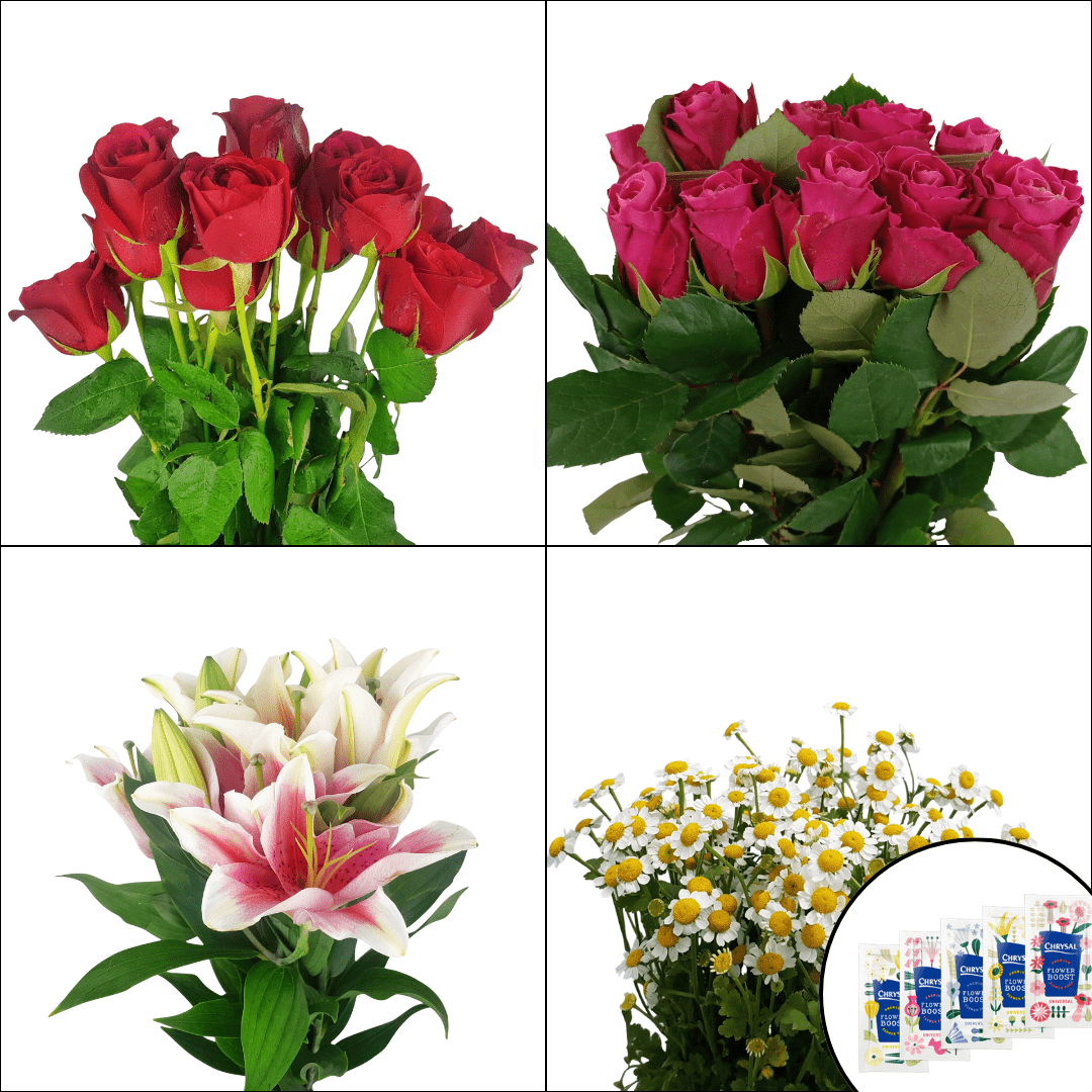 FCMVD15 - Roses, Lily & Chamomile