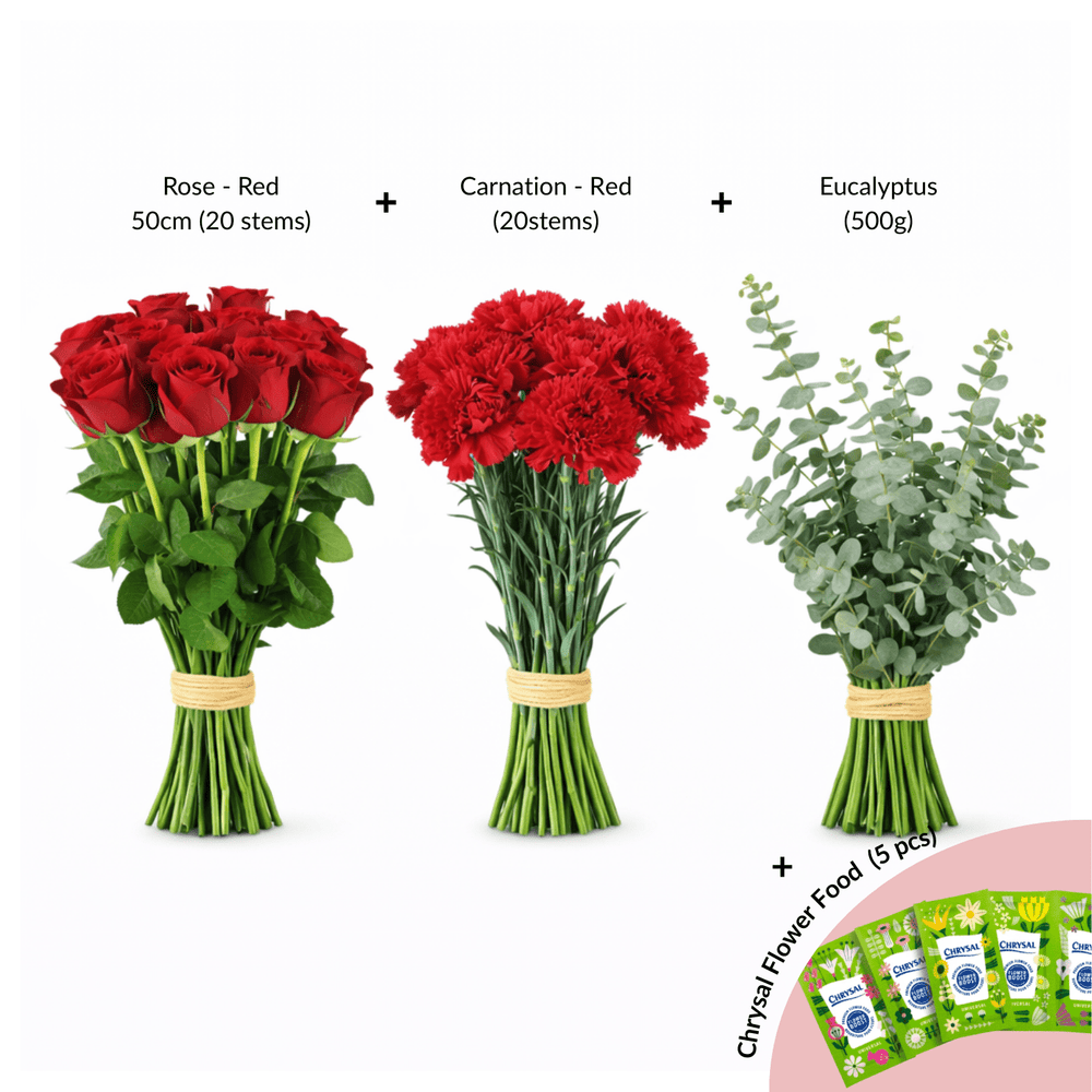 FCMVD16 - Rose, Carnation & Eucalyptus