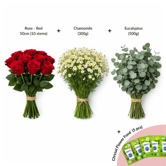 [Pre-Order] FCMVD17 - Rose, Chamomile & Eucalyptus