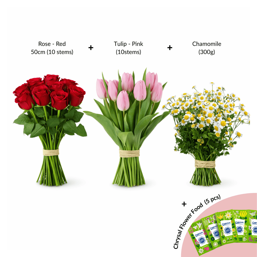 FCMVD19 - Rose, Tulip & Chamomile