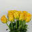 Rose Momentum 40cm (Imported) - Yellow [10 Stems]