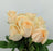 Rose Magic Avalanche 50cm - Peach (10 Stems)