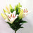 Lily Oriental Helvetia (Imported) - White