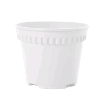 BABA RD-120 Pot (⌀12.5cm x H10cm)