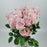[Full Bloom] Rose (Local) - Light Pink