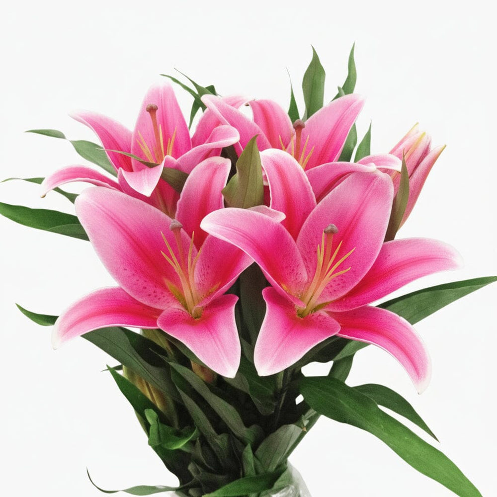 FCMVD04 - Rose, Lilies & Baby's Breath