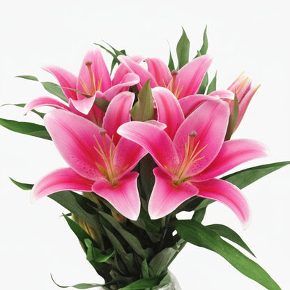FCMVD04 - Rose, Lilies & Baby's Breath