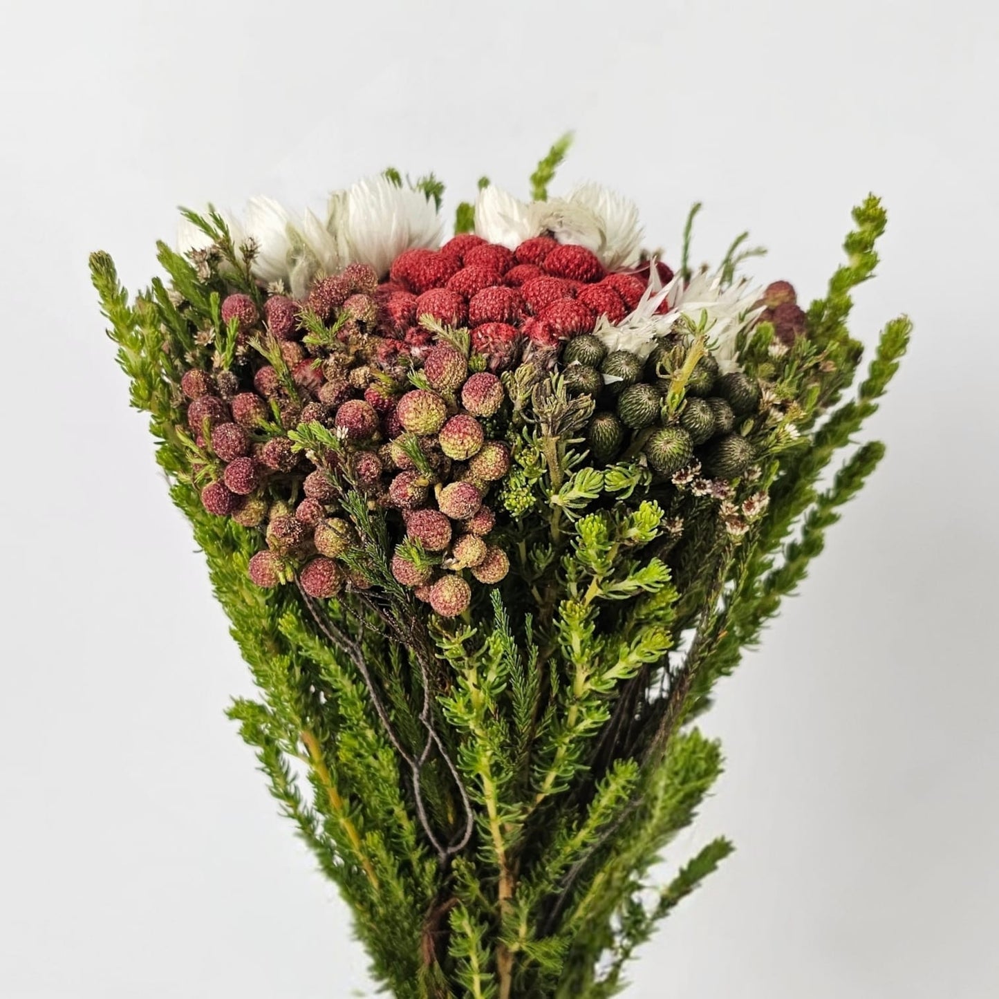 Fresh Cut Flowers at Floristika