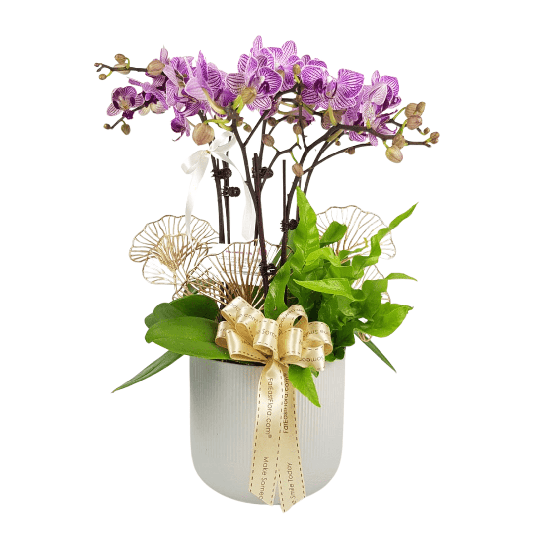 Wholesale Fresh Cut Flowers And Plants Floristika my wholesale-fresh-cut-flowers-and-plants-floristika-my