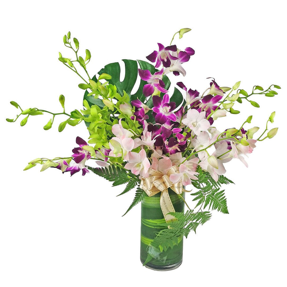 Dewi - Orchids Arrangement