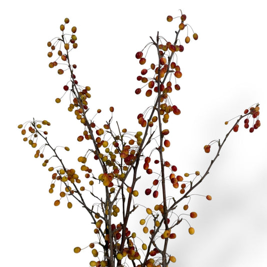 Fresh Cut Malus at Floristika 