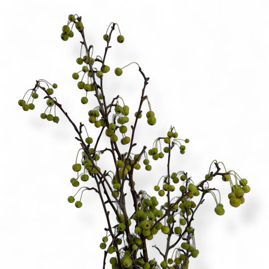 Fresh Cut Flowers at Floristika 