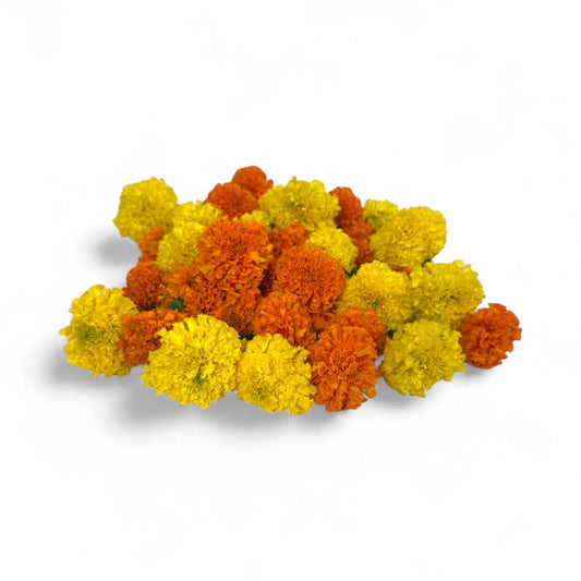 Fresh Cut Flowers at Floristika