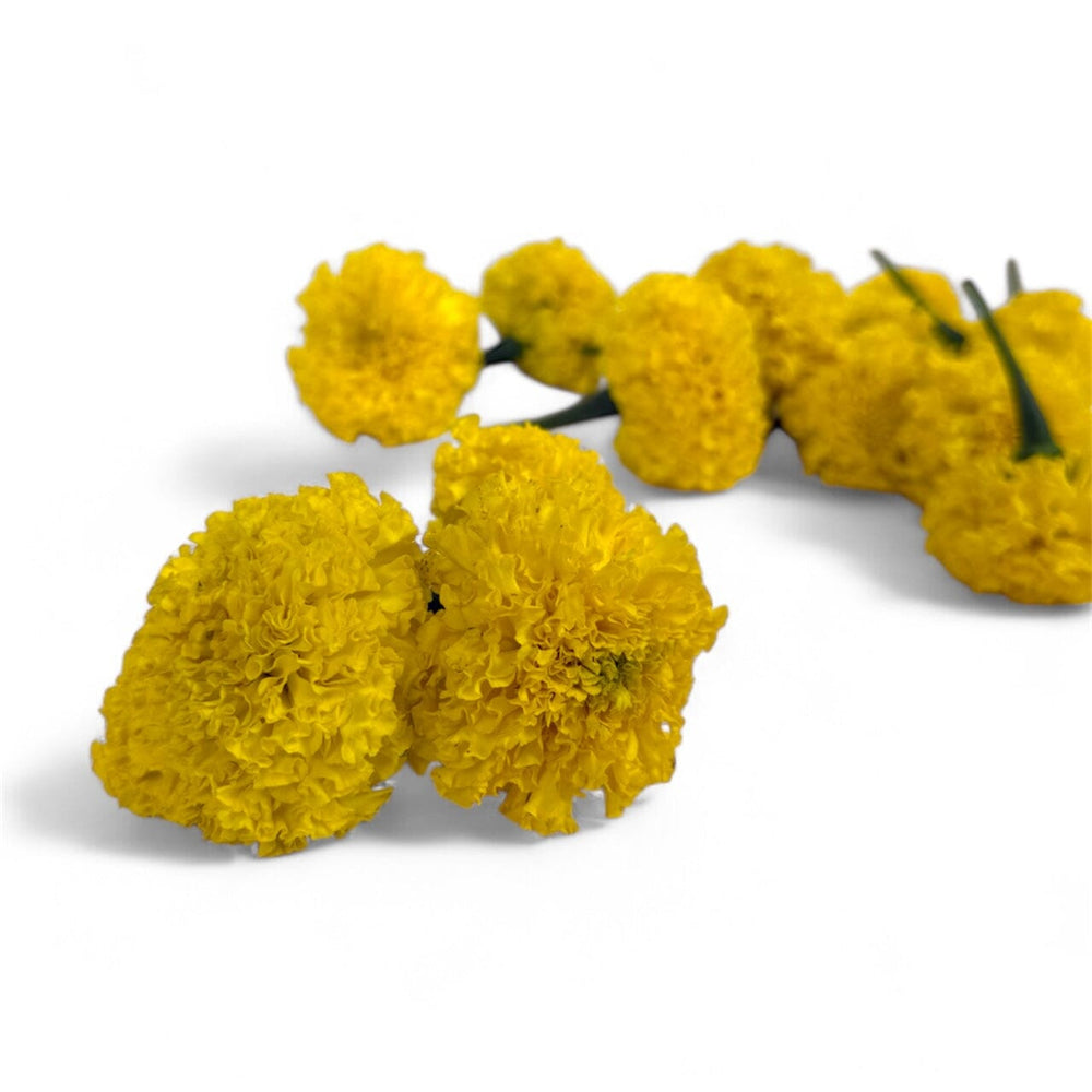 Loose Marigold 300 Grams