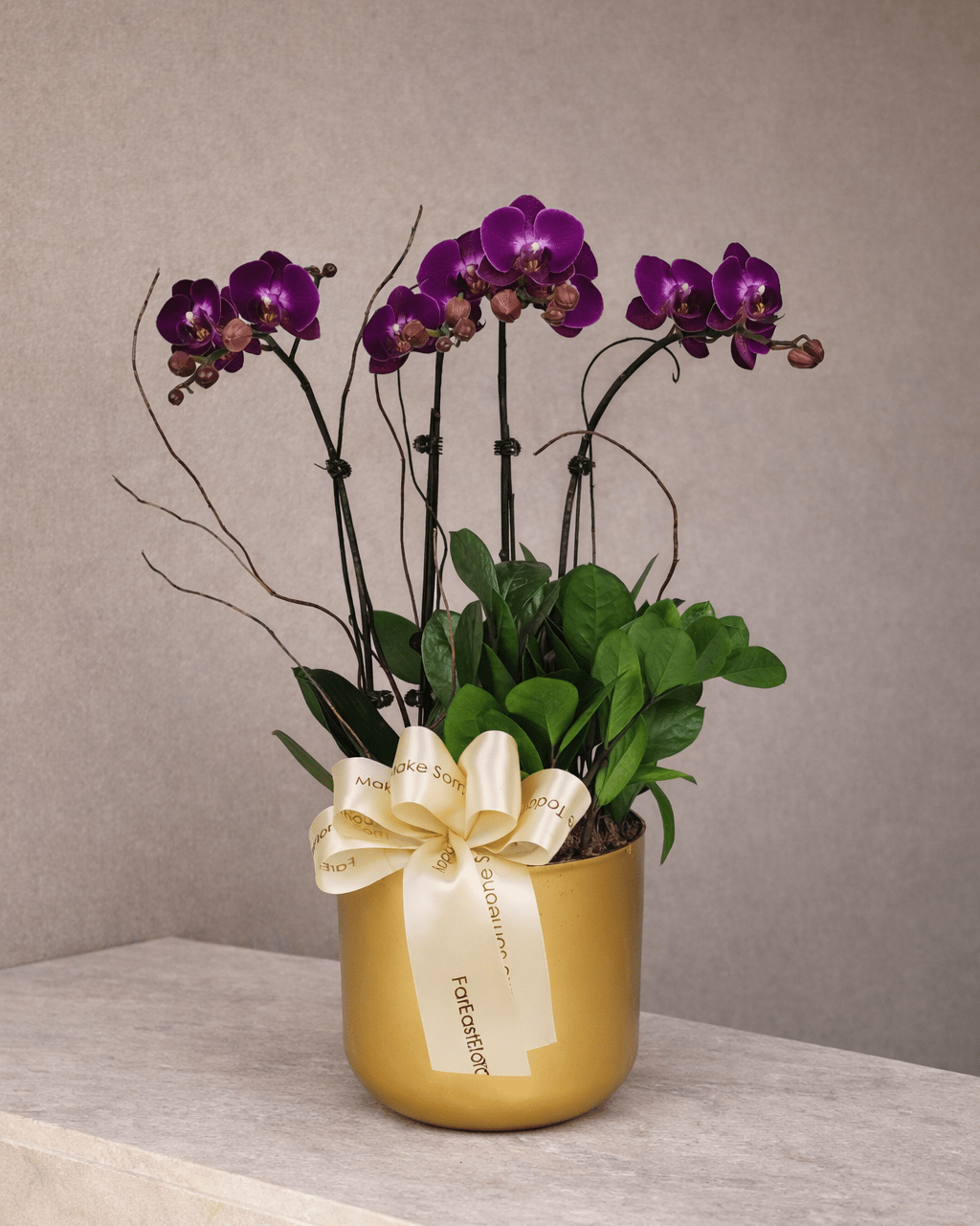 Seri Luhur - Purple Phalaenopsis