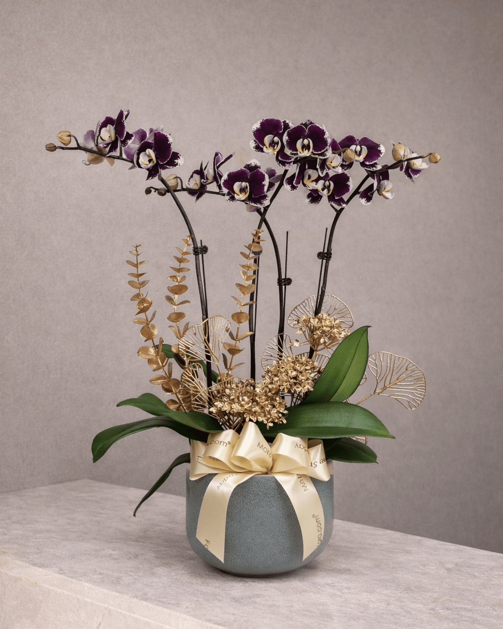 Anggun Puspa - Purple Phalaenopsis