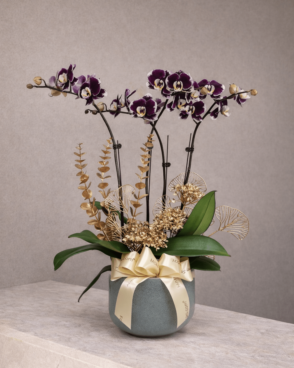 Anggun Puspa - Purple Phalaenopsis