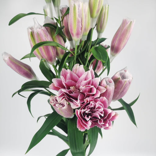 Roselily Natalia (Imported) - Pink [2 Stems]