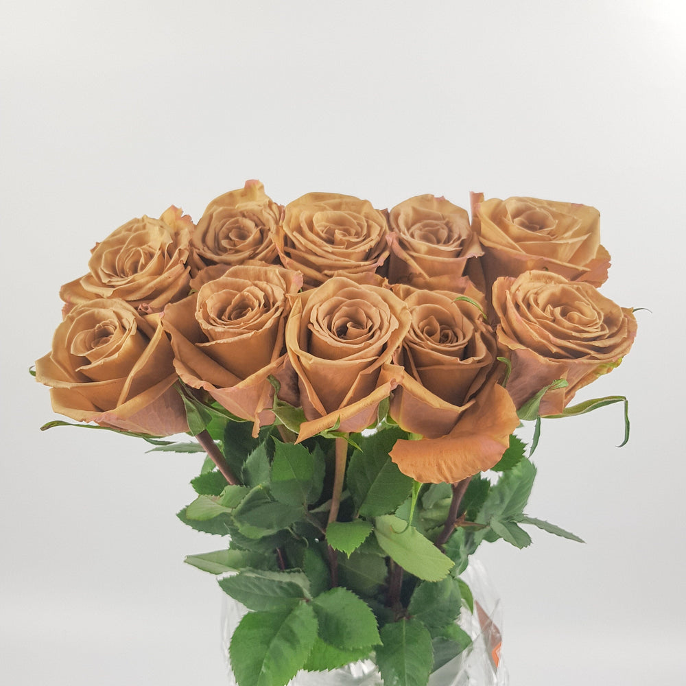 Rose - Mocha Light Brown (10 stems)