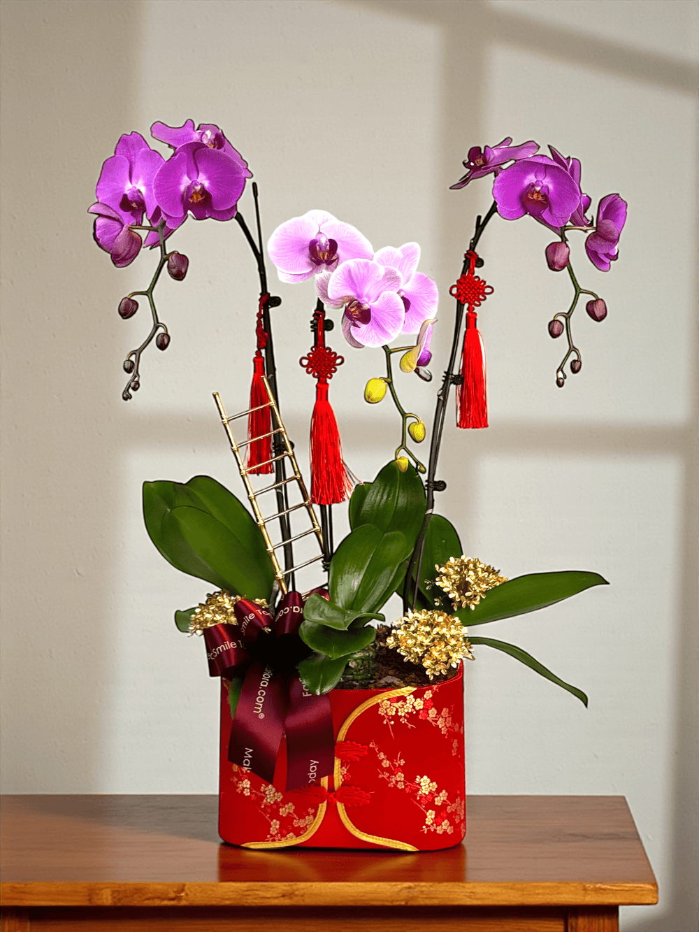 Steps Of Success – Phalaenopsis