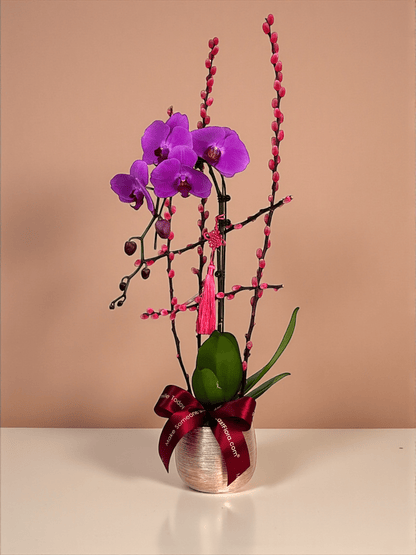 Double Happiness 喜福成双 – Phalaenopsis