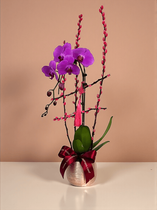 Double Happiness – Phalaenopsis