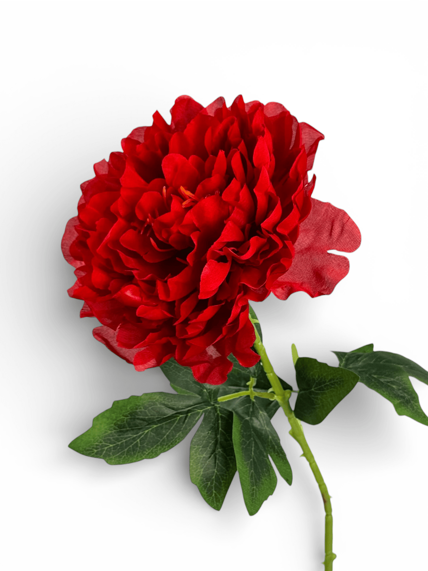 Artificial Peony - Red (1 Stem)