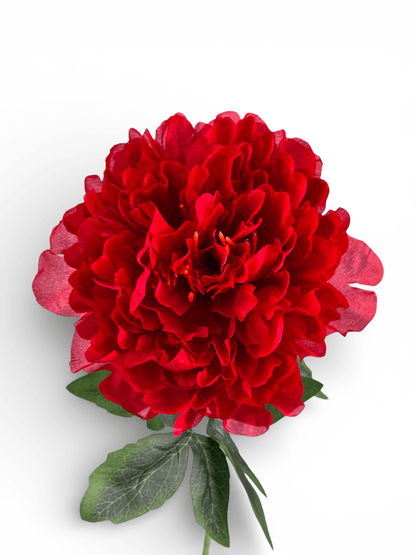 Artificial Peony - Red (1 Stem)