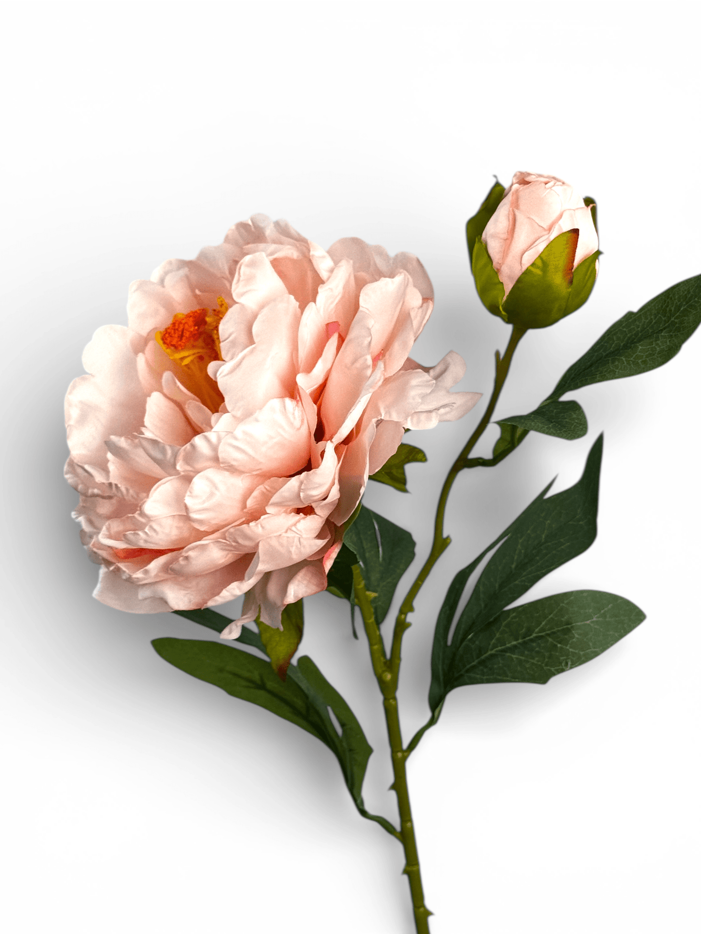 Artificial Peony - Light Pink (1 Stem)