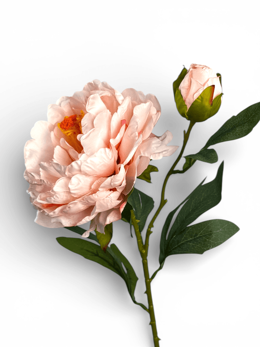 Artificial Peony - Light Pink (1 Stem)