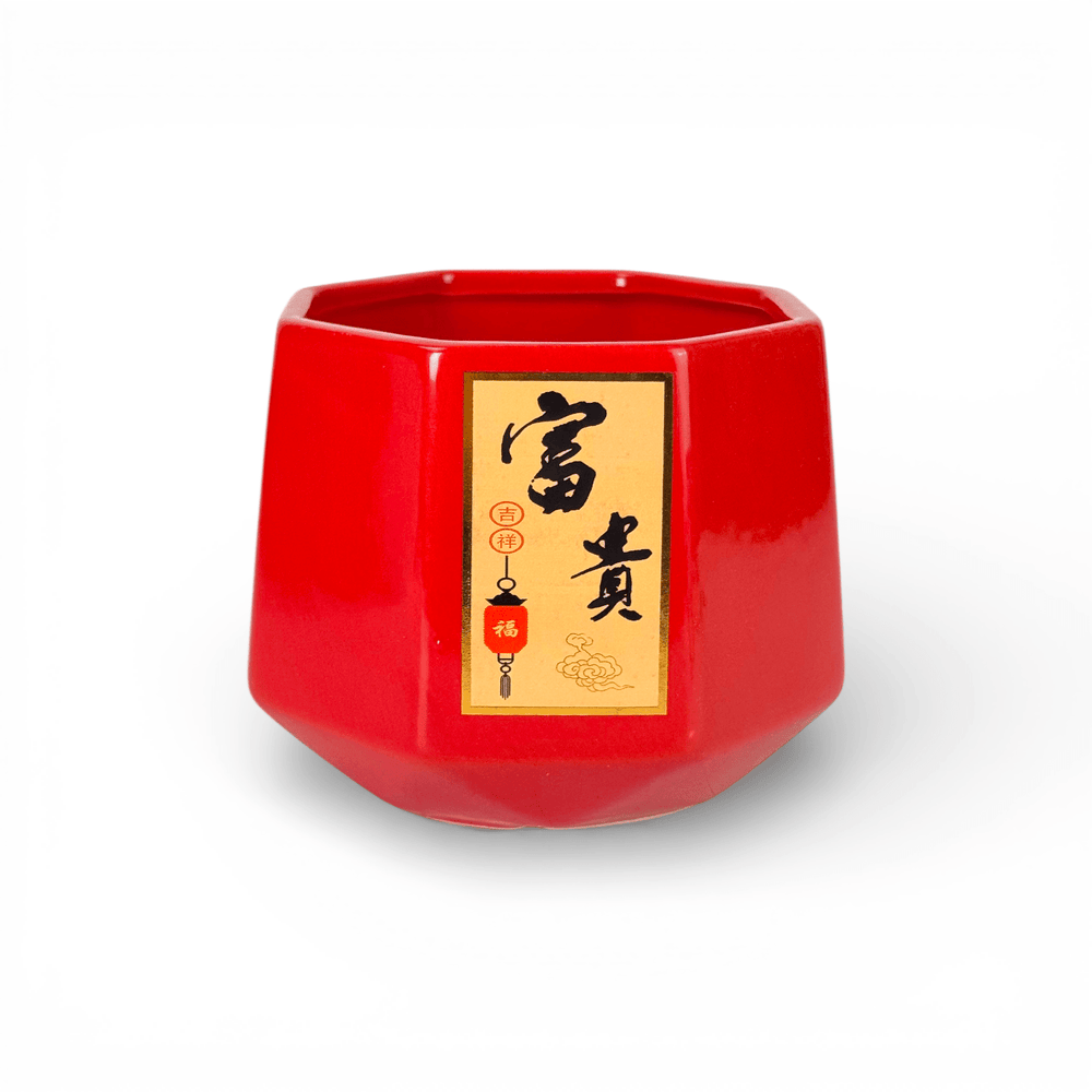 Red Ceramic Pot (15.5cm x 15.5cm)