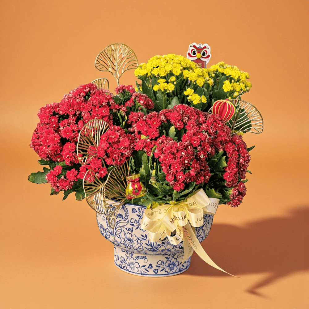 Prosperous Blossoms 花开富贵 – Kalanchoe