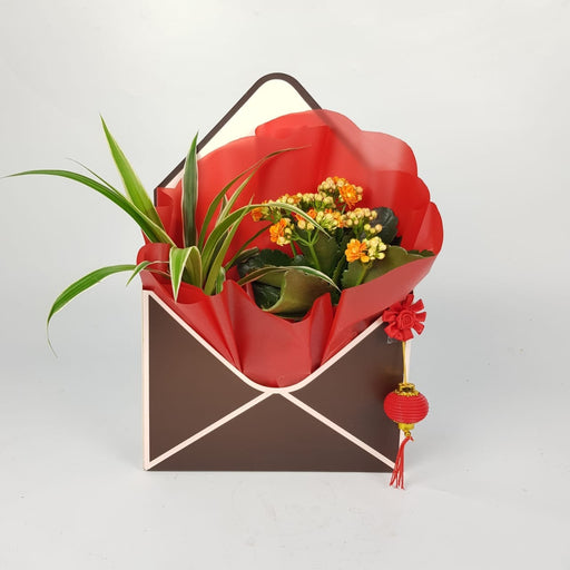 CNY Plant Mail Gift: Kalanchoe & Chlorophytum