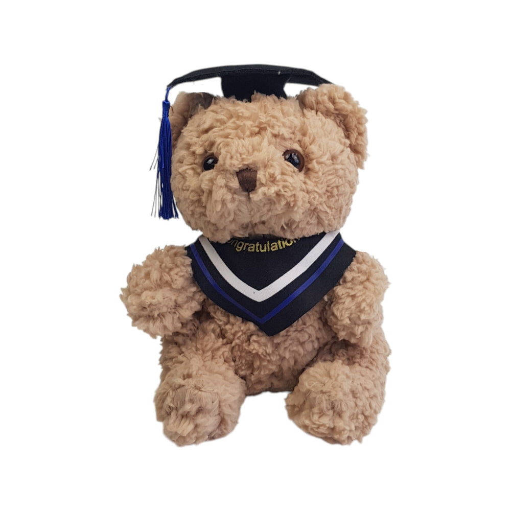 Plush Teddy with Graduation Cap 23cm