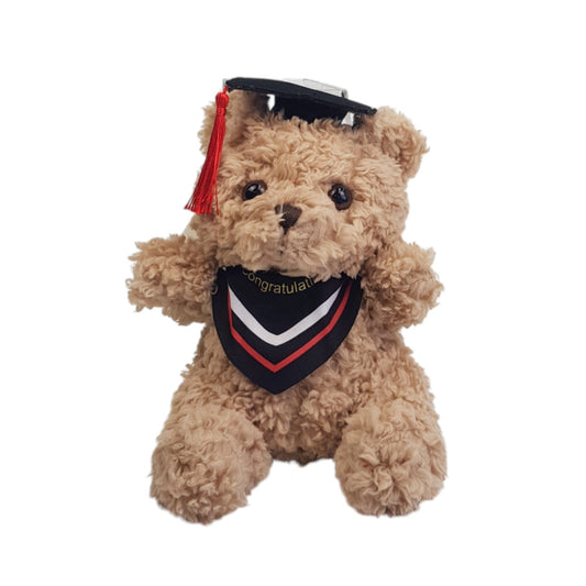teddy
graduation
cap
plush doll