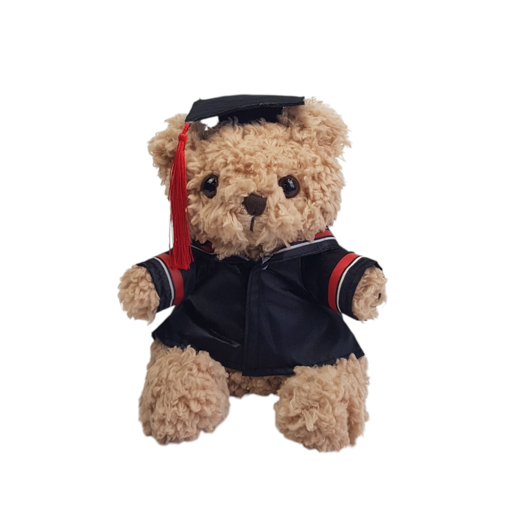Plush Teddy with Graduation Gown 23cm