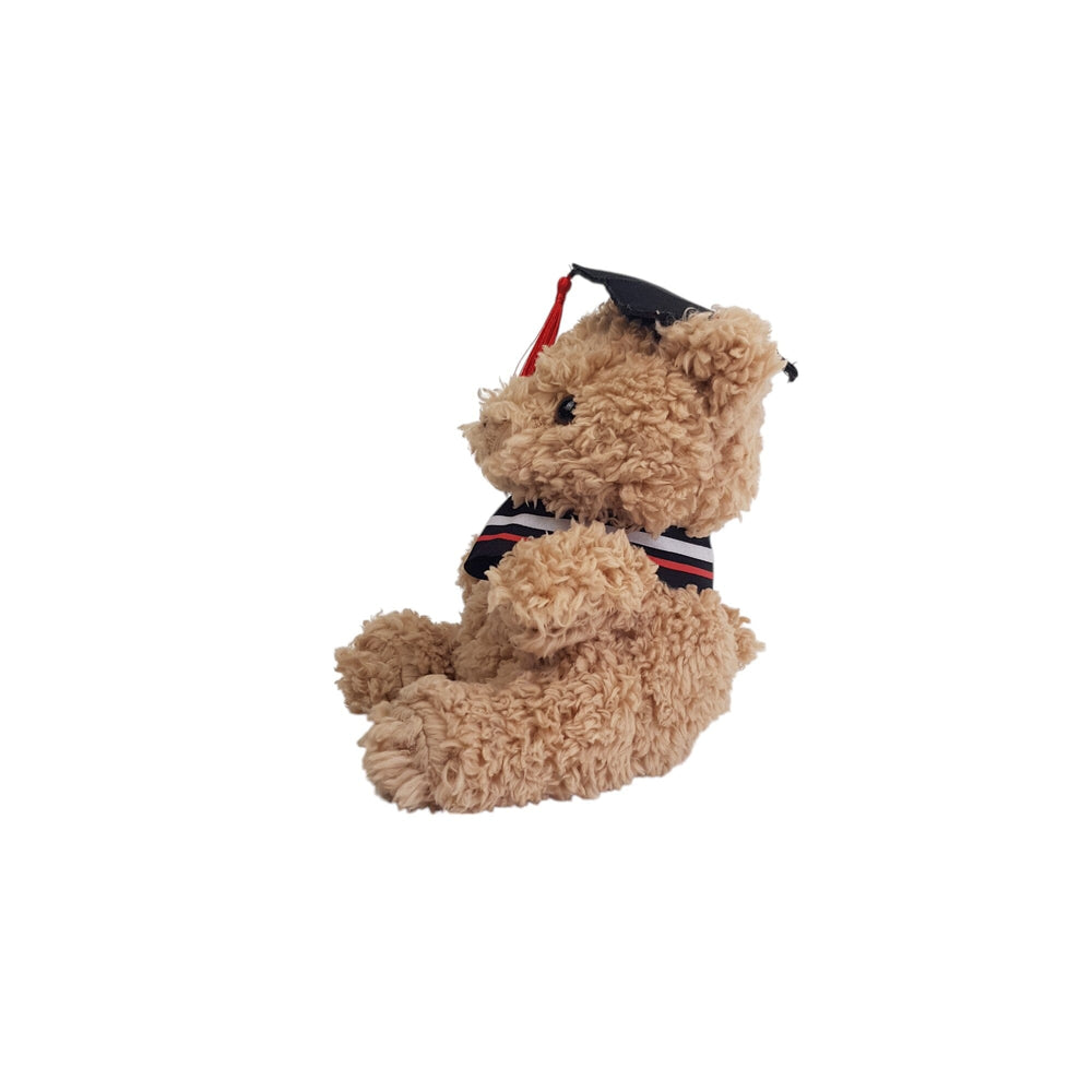 Plush Teddy with Graduation Cap 23cm