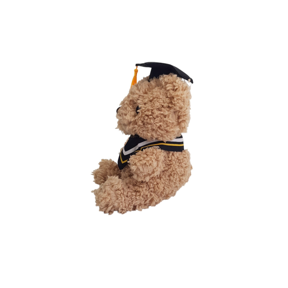 Plush Teddy with Graduation Cap 23cm