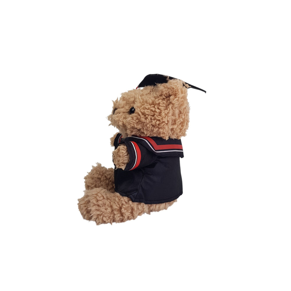 Plush Teddy with Graduation Gown 23cm