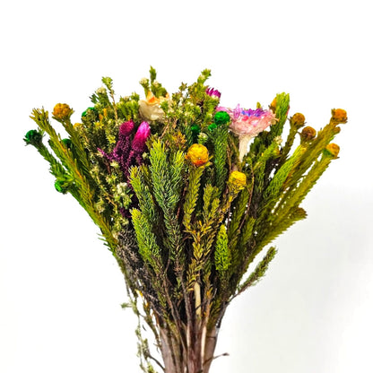 Fresh Cut Flowers at Floristika