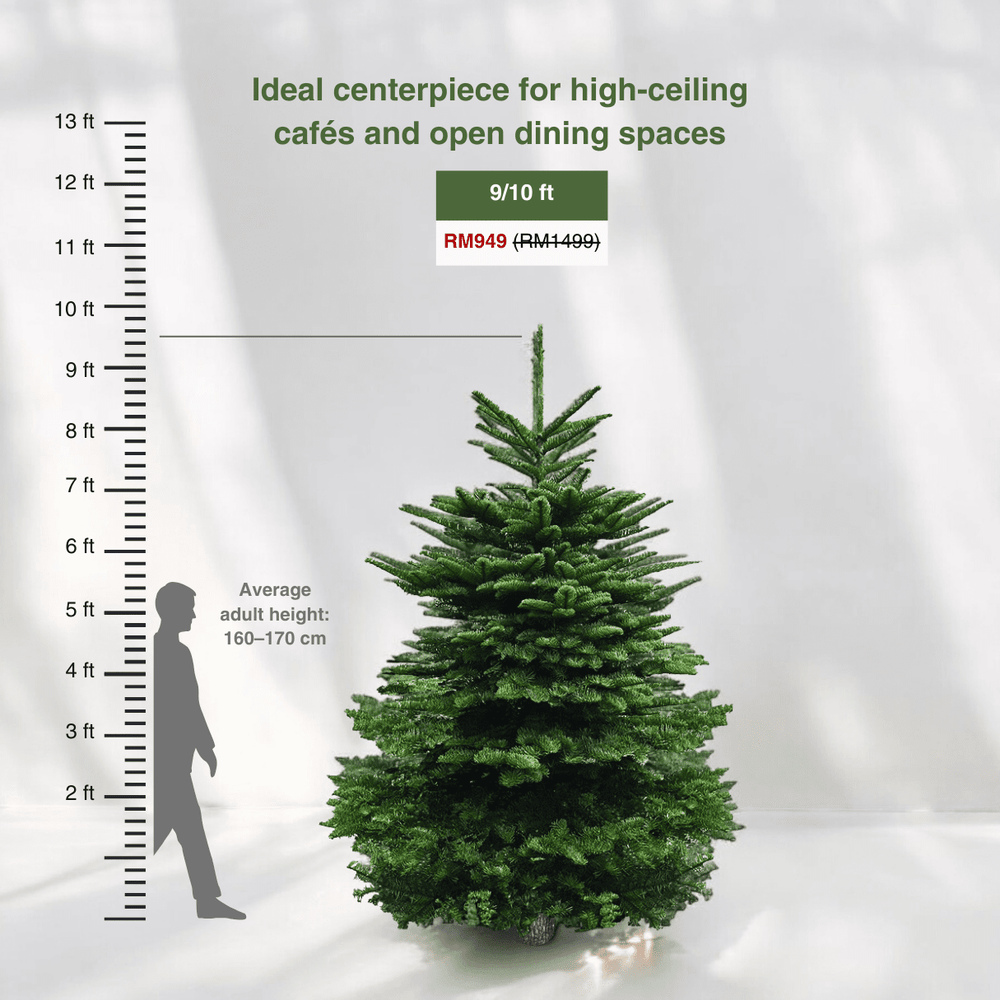 Real Christmas Tree (9/10 ft. / 250 - 300 cm) - Premium Grade Noble Fir