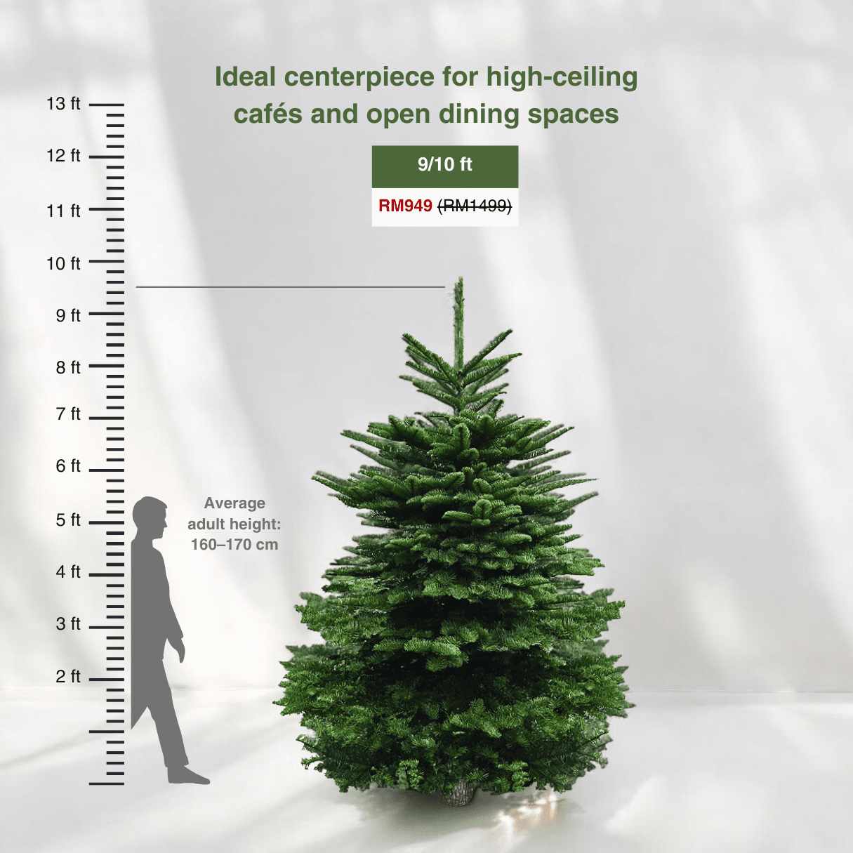 Real Christmas Tree Premium Grade Noble Fir Size Chart for 10 ft